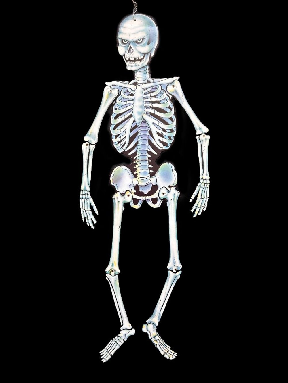 Vintage 1984 Beistle Halloween 44" Jointed Skeleton Die Cut